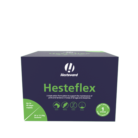 Hesteflex (Professional Range) Sachet Box