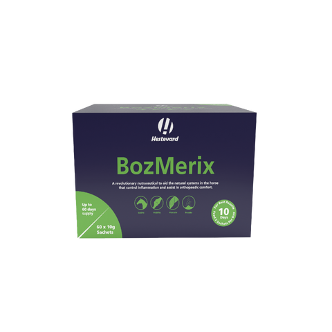 BozMerix (Professional Range)