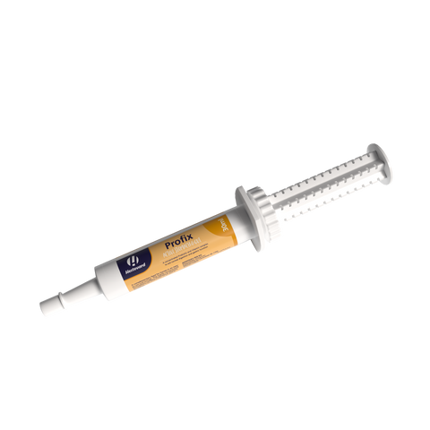 Profix Paste Oral Syringe