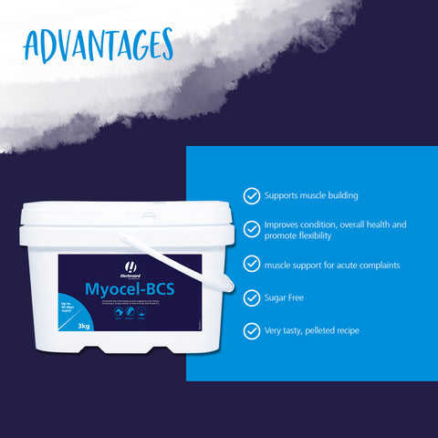 Myocel-BCS