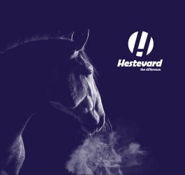 10 Tips for Introducing New Feed & Supplements to a Fussy Horse - Hestevard UK
