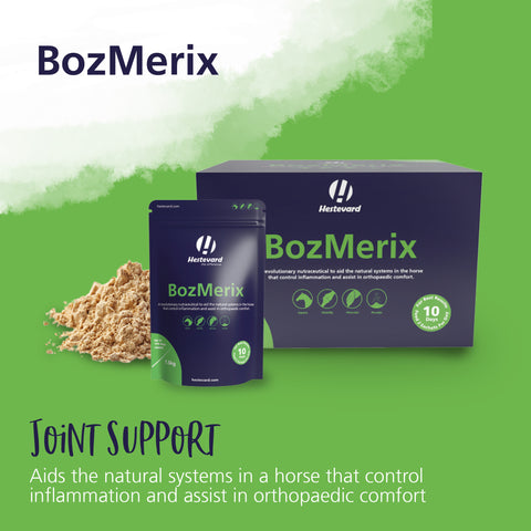 Setting the Record Straight: Why BozMerix is the Superior Choice for Your Horse’s Health.