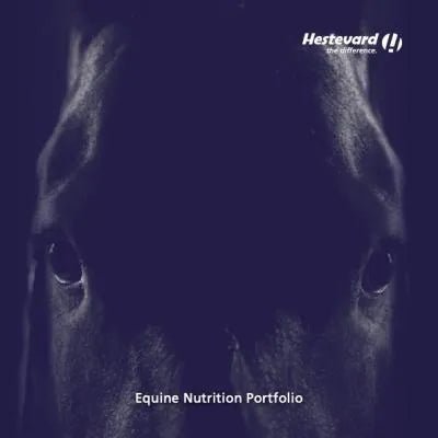 BozMerix: How Curcumin and Boswellia support horses’ anti-inflammatory systems - Hestevard UK