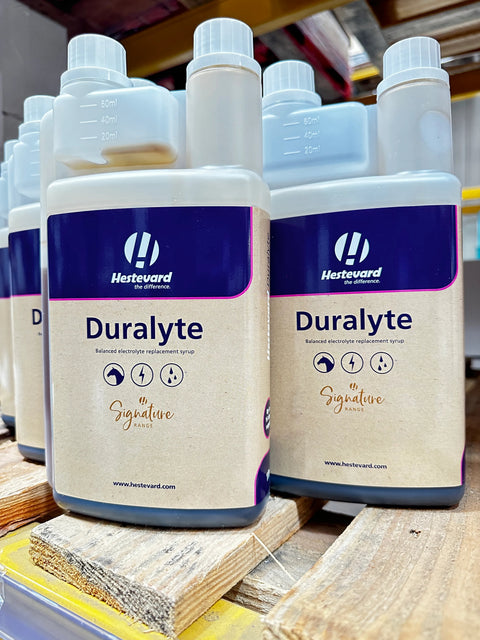 Equine Performance: Understanding When and Why to Use Electrolyte Replacers for Horses - Hestevard UK