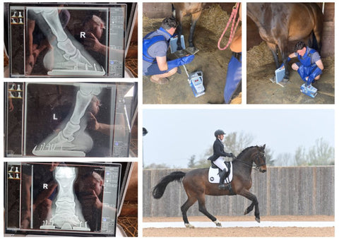 Guest Blog: No foot, No Horse! - Hestevard UK
