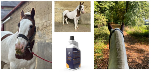 Hepalyte: A Miracle Tonic for Liver Health - PJ's Story - Hestevard UK