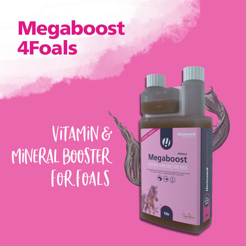 Hestevard MegaBoost 4 Foals: Optimal Support for Your Foal’s Early Development - Hestevard UK