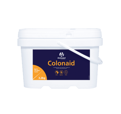 How to remove sand from a horse’s gut - Hestevard UK