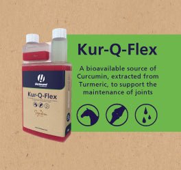 Introducing Hestevard Kur-Q-Flex - Hestevard UK