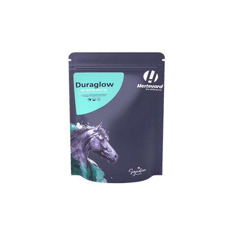 Mud Fever Season – What Can You Do? - Hestevard UK