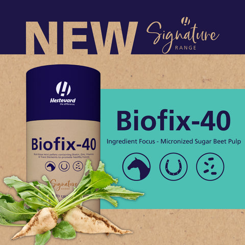 Ingredient Focus: Micronised Sugar Beet Pulp & Hestevard Biofix-40
