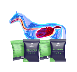 Why Hestevard Products Are Kind to the Gut - Hestevard UK