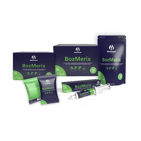 Why Hestevard's Professional Range is Trusted by Vets - Hestevard UK