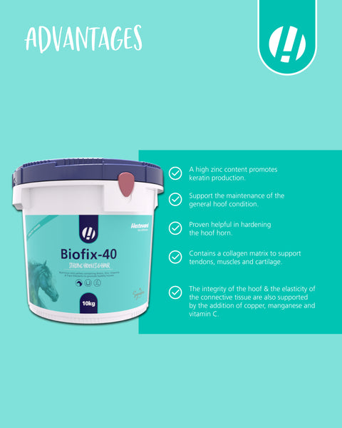 Biofix-40