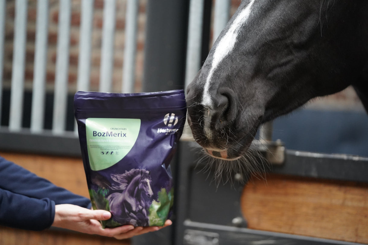 Need further assistance?