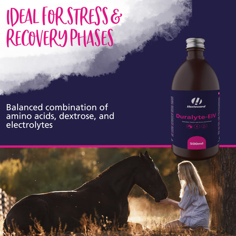 Hestevard Duralyte EIV 500ml