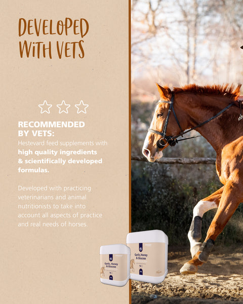 Hestevard Garlic Honey & Glucose