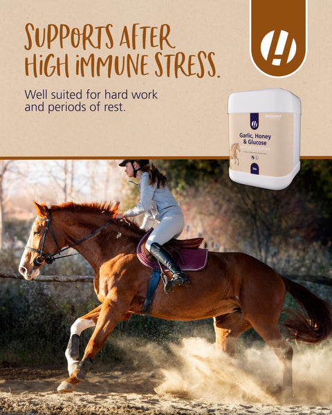 Hestevard Garlic Honey & Glucose