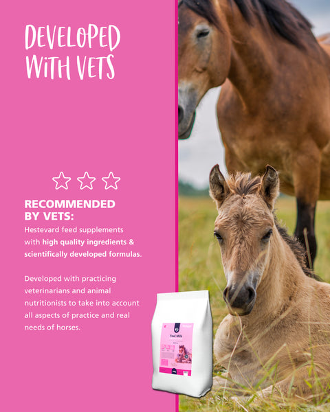 Hestevard Foal Milk Powder