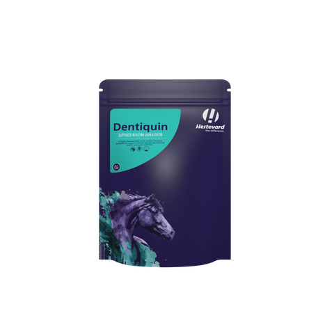 Hestevard Dentiquin