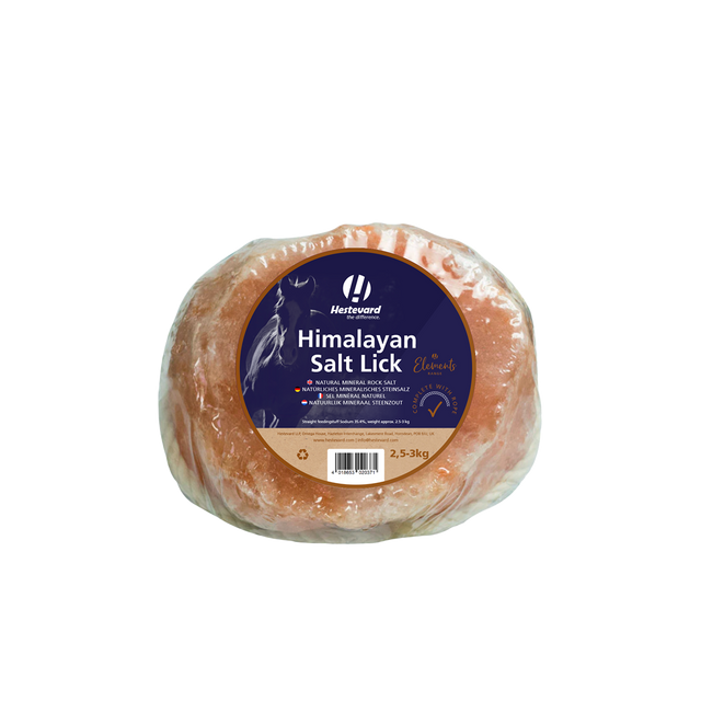 Himalayan Salt Lick Hestevard