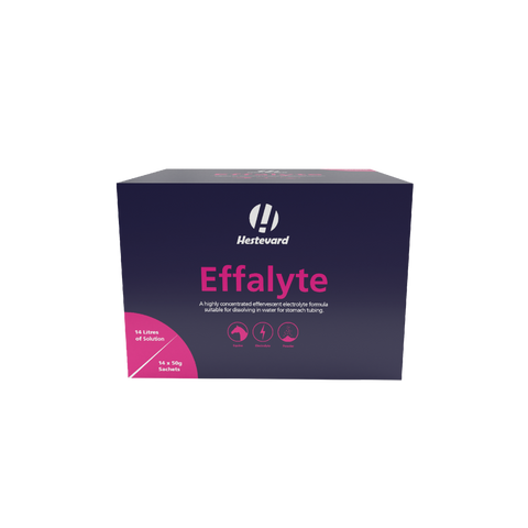 Effalyte 14x 50g Sachet Box (Professional Range)