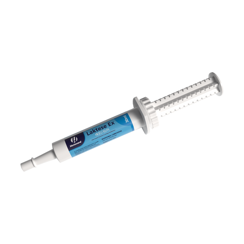 Laktese Ex Oral Syringe