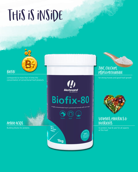 Biofix-80