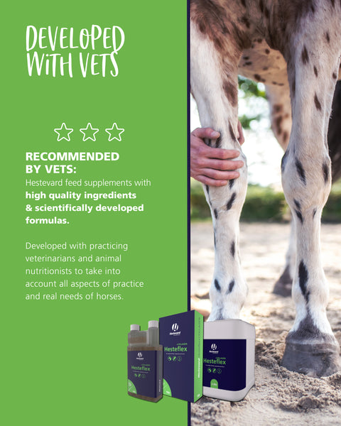 Hestevard Hesteflex +Collagen 1ltr