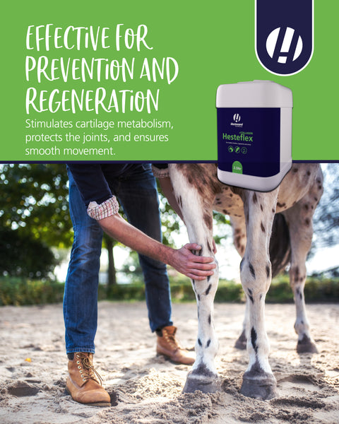 Hestevard Hesteflex +Collagen 1ltr