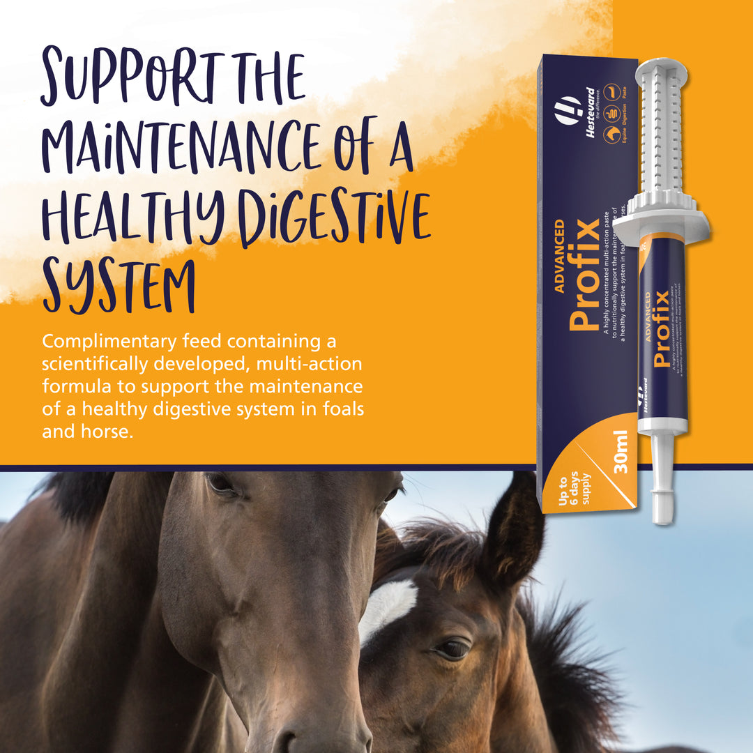 Profix Advanced Hestevard