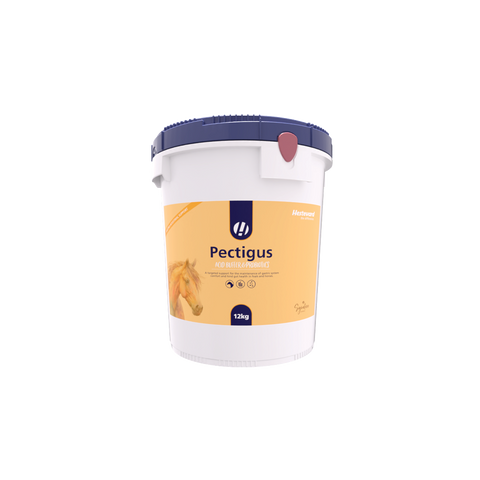 Pectigus