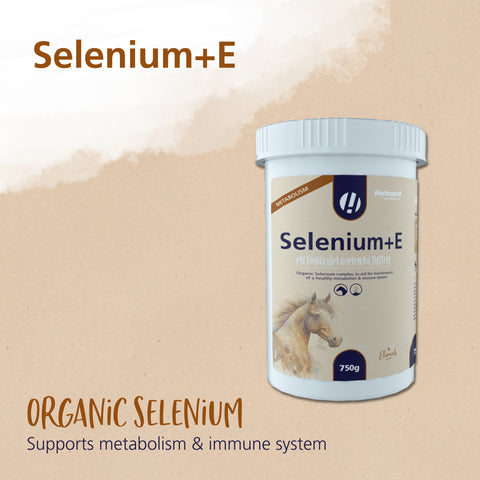 Selenium-E