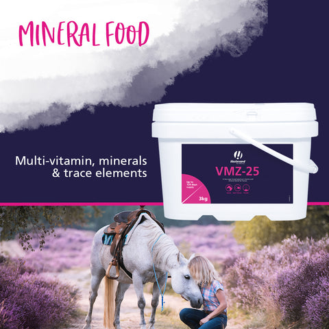 VMZ-25 Multi-Vitamin