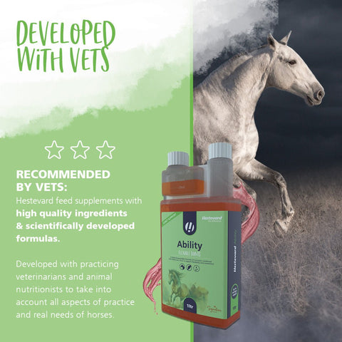 Ability - Hestevard UK