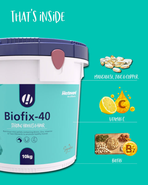Biofix - 40 - Hestevard UK