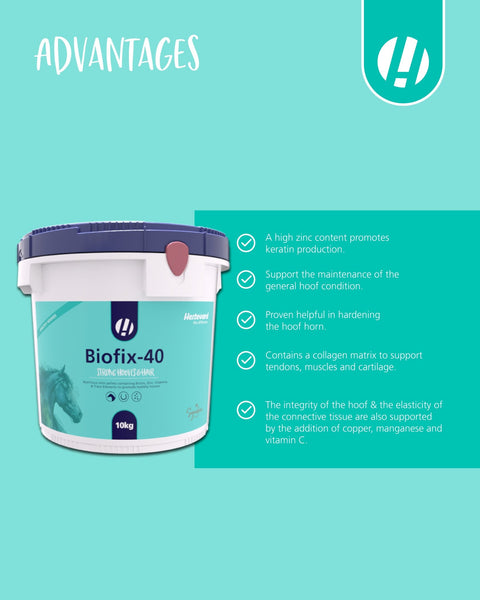 Biofix - 40 - Hestevard UK