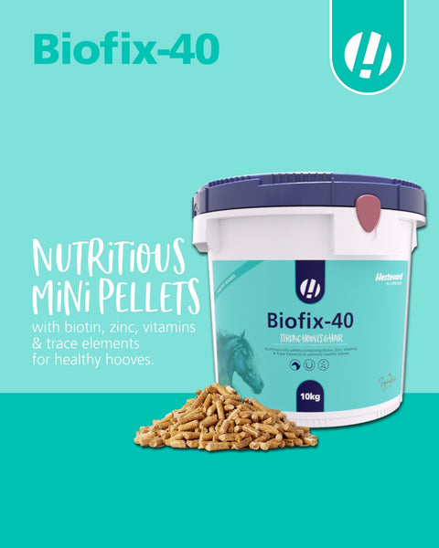 Biofix - 40 - Hestevard UK