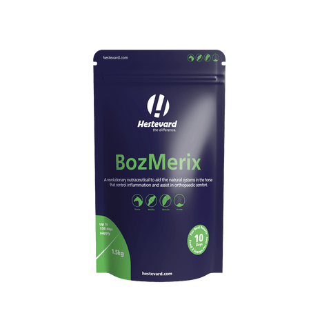 BozMerix - Hestevard UK