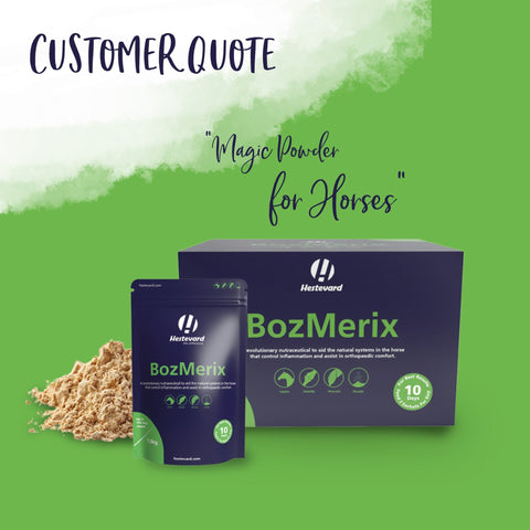 BozMerix - Hestevard UK