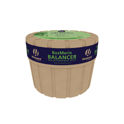 BozMerix Balancer Maintenance Diet - Hestevard UK
