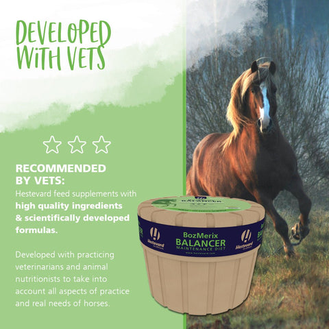 BozMerix Balancer Maintenance Diet - Hestevard UK
