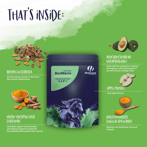 BozMerix CrunchTabs Apple Flavour - Hestevard UK