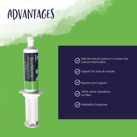 BozMerix Paste - Hestevard UK