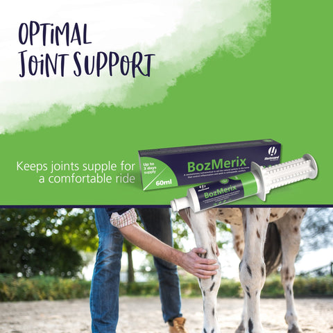 BozMerix Paste - Hestevard UK