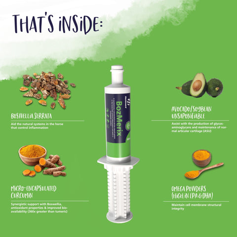 BozMerix Paste - Hestevard UK