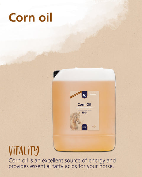 Corn Oil - Hestevard UK