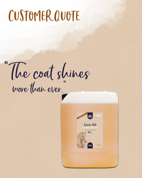 Corn Oil - Hestevard UK