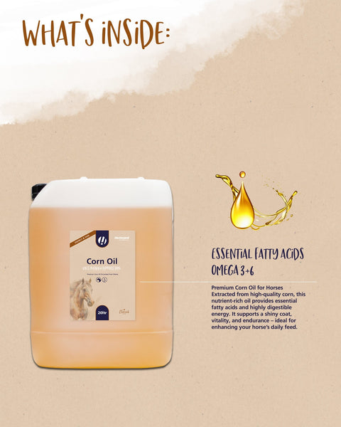 Corn Oil - Hestevard UK