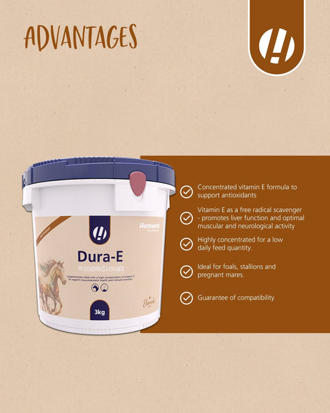 Dura - E - Hestevard UK